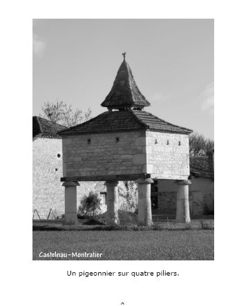 pigeonnier sur quatre piliers  Castelnau-Montratier